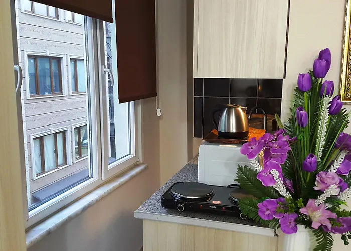 Hotel Beyazithan Old Provincia di Istanbul